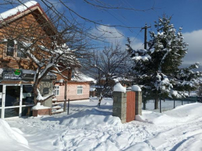 У Андрушка